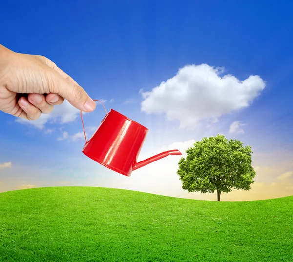 Hand watering a tree with watering can — Stock Photo, Image