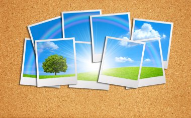 Mantar pano backg üzerinde çok sayıda fotoğraf güzel doğa arka plan