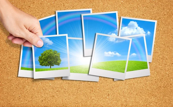 Käsi lisätä puun kuva ryhmään luontokuvia korkkilaudalla — kuvapankkivalokuva