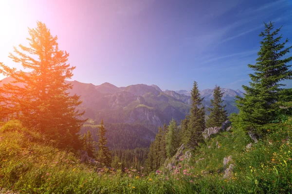 Hintersee z bliska — Zdjęcie stockowe