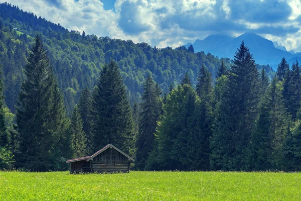 Gosausee közelről — Stock Fotó