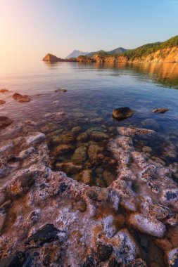 Mediterranean yakın çekim
