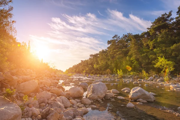 Canyon da vicino — Foto Stock