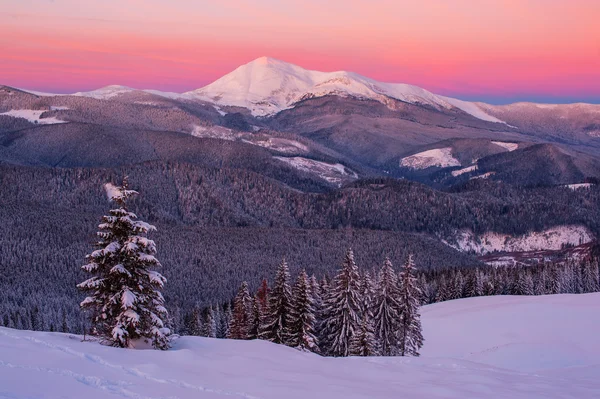 Paesaggio da vicino — Foto Stock