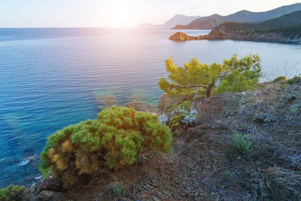 Medelhavet på nära håll — Stockfoto