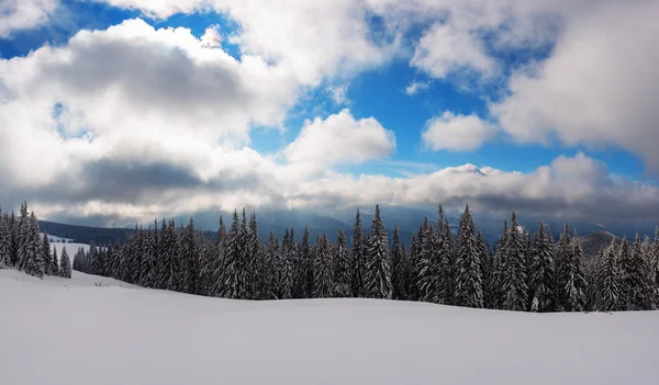 Landschaft hautnah — Stockfoto