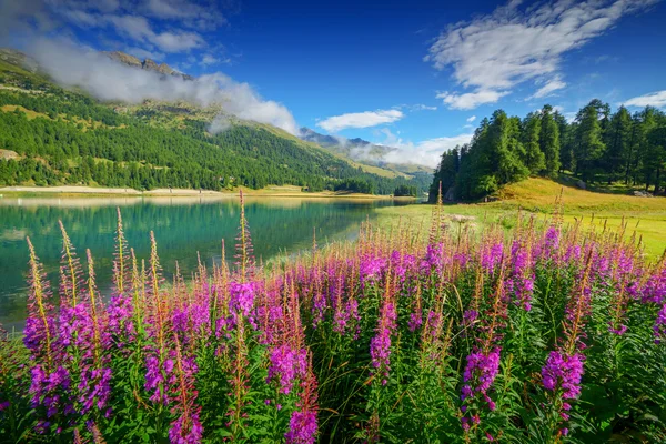 Champferersee zavřít — Stock fotografie