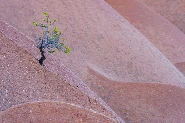 Cappadocia close up — Stock Photo, Image