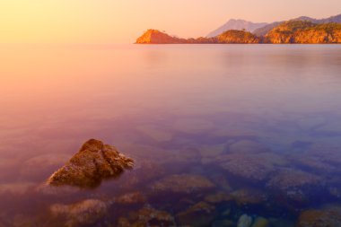 Mediterranean yakın çekim