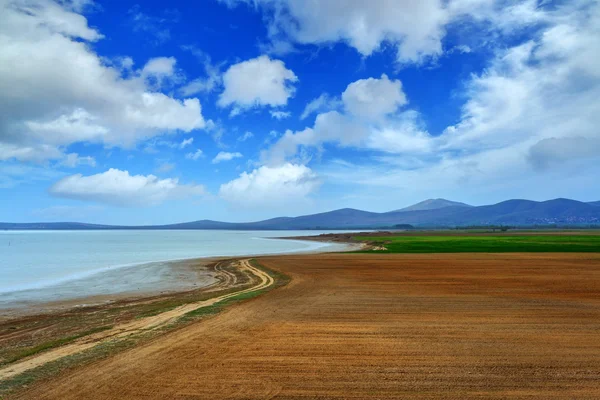 Turchia Close Up — Foto Stock