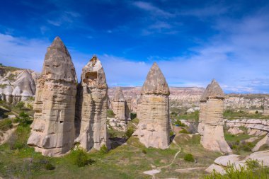 vadi yakın çekim