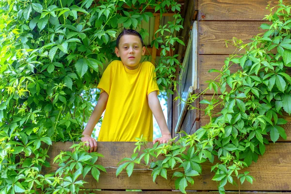 Menino Camiseta Amarela Divertindo Casa Árvore Jardim — Fotografia de Stock