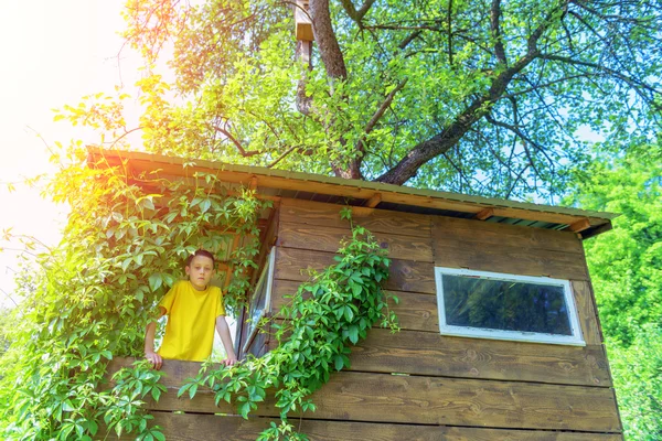 Ung Pojke Gul Shirt Att Kul Treehouse Trädgården — Stockfoto