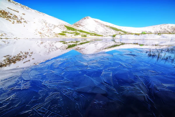 Lago de cerca — Foto de Stock