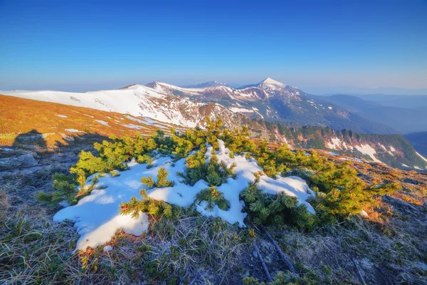 Mountain close up — Stock Photo, Image