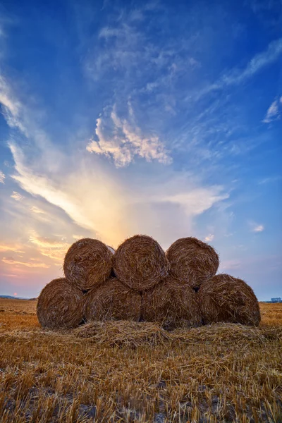 Straw close up — Stock Photo, Image