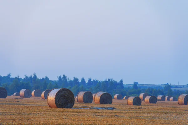 Straw close up — Stock Photo, Image