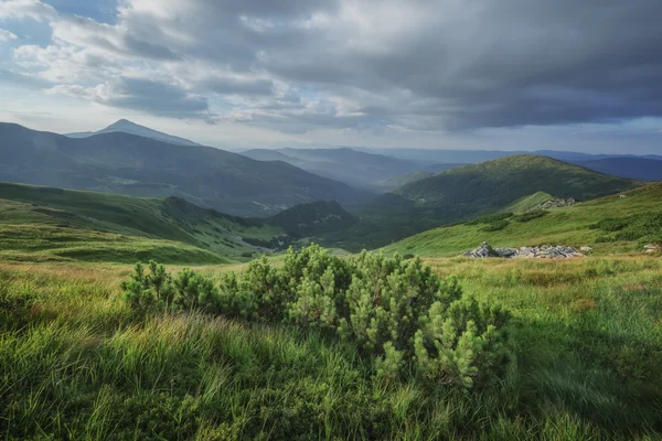 Colline vicino — Foto Stock