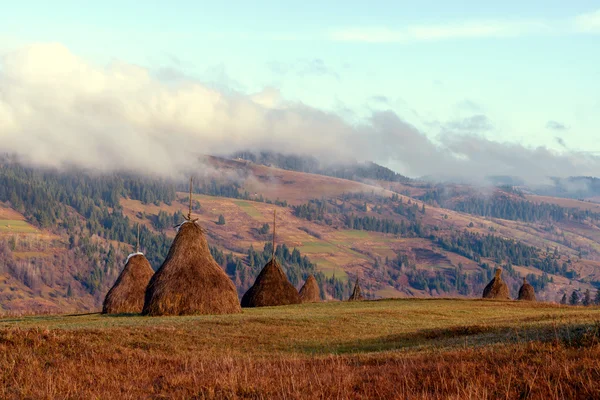 Haystack close up — Stock Photo, Image