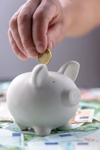 Schwein aus nächster Nähe — Stockfoto