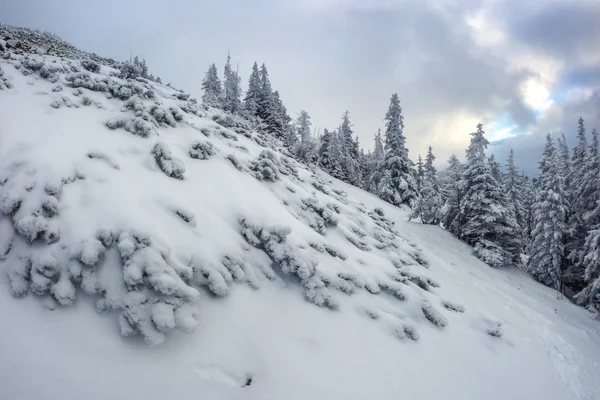 Paisaje de cerca — Foto de Stock