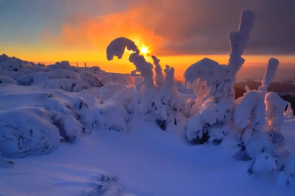 Landscape close up — Stock Photo, Image