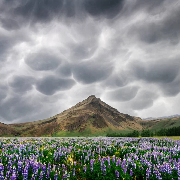 Paisaje típico de Islandia con montañas — Foto de Stock