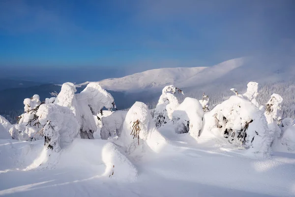 Fantástico paisaje de invierno —  Fotos de Stock