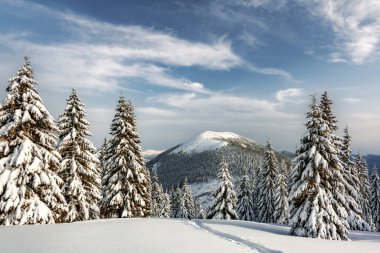 Muhteşem kış manzarası