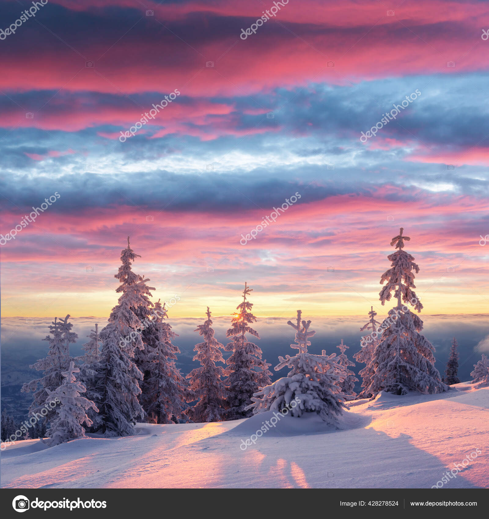 Scène hivernale dramatique avec des arbres enneigés. — Photo de stock par  ©Ivankmit - 428278524, image size:1600x1700