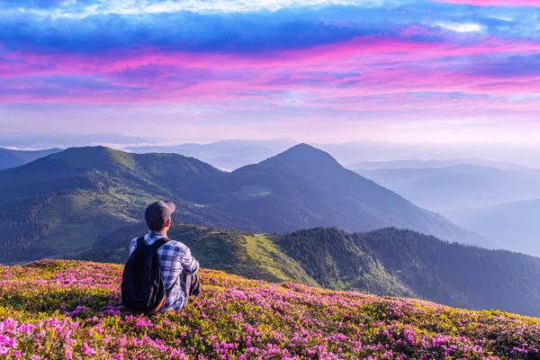 En turist i vita kläder sitter på en rosa matta av rhododendron blommor — Stockfoto