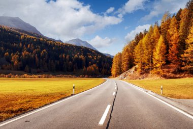 Muhteşem dağ yolu manzarası, turuncu tarla ormanı ve yüksek dağlar.