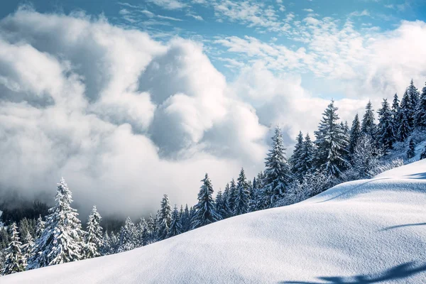 Fantastisch winterlandschap — Stockfoto