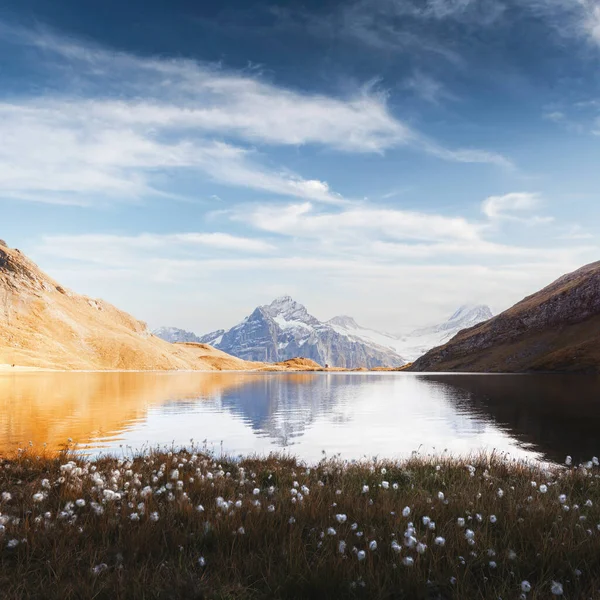 Lago Bachalpsee en los Alpes suizos montañas — Foto de Stock