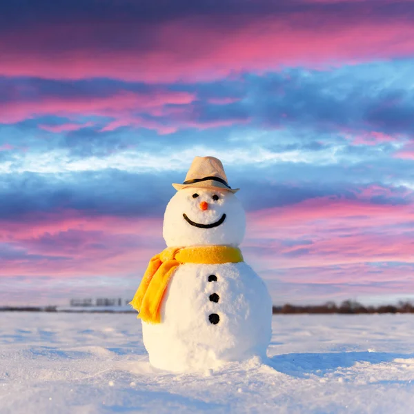 Funny snowman in black hat — Stock Photo, Image