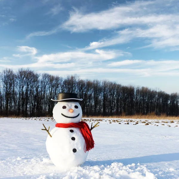 Muñeco de nieve divertido en sombrero negro —  Fotos de Stock