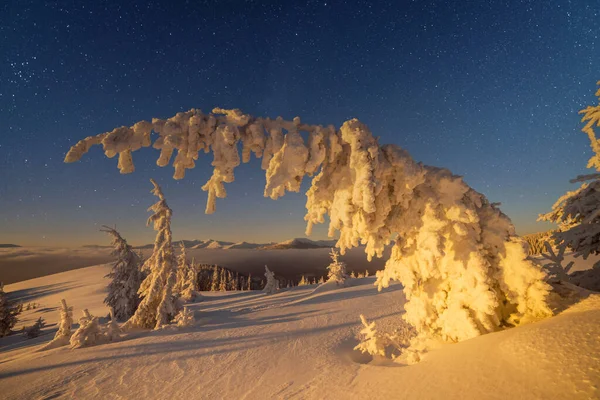 白雪连绵的冬景 — 图库照片