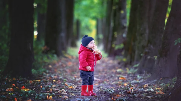 Malý batole kluk v červených gumových botách — Stock fotografie