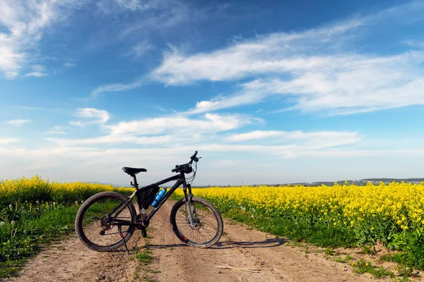 Nero maschio bici su fioritura giallo campo di colza — Foto Stock