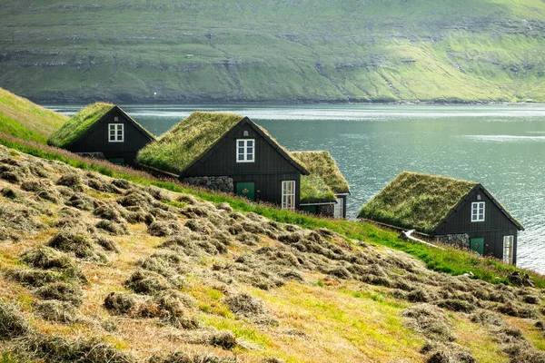 Pittoresca veduta delle tradizionali case coperte d'erba faroese — Foto Stock