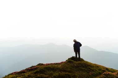Uçurumun kenarında duran bir turist pembe bir rhododendron halısıyla kaplıdır.