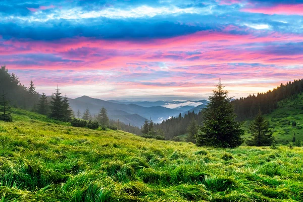 Světle zelená tráva pokryté hory louka — Stock fotografie
