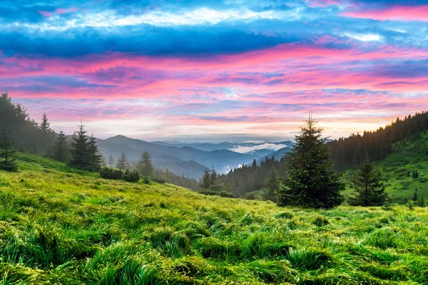 Yemyeşil çimenler dağlarla kaplı çayır — Stok fotoğraf