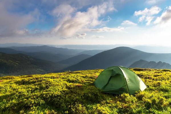 Tenda verde su un prato incredibile in montagna primaverili — Foto Stock