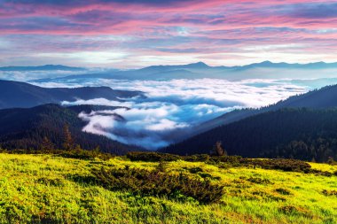 yemyeşil çimenler dağlarla kaplı çayır