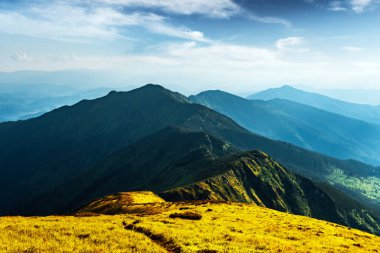 yemyeşil çimenler dağlarla kaplı çayır