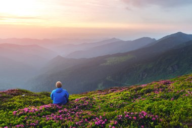 Beyaz elbiseli bir turist pembe bir rhododendron çiçeğinin üzerinde oturur.