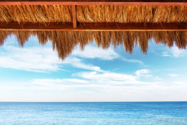 Sahildeki ağaçlıkta bir tepe örtüsü.