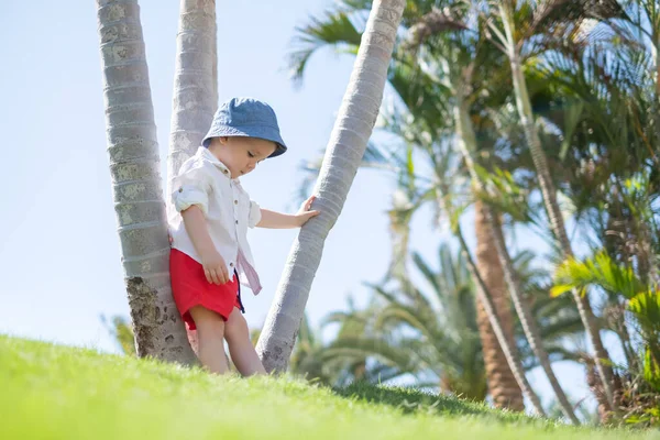 Šťastný malý chlapec ležící na zelené trávě pod palmami — Stock fotografie