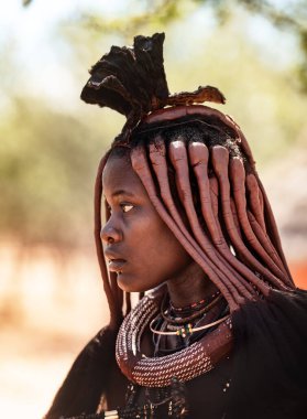 Himba köyünde tipik saç stili olan kimliği belirsiz Himba 'lı genç bir kadın.
